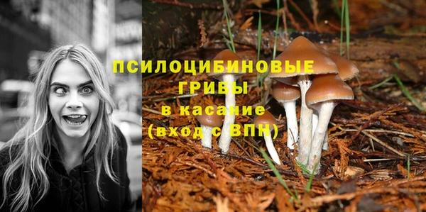 экстази Армянск