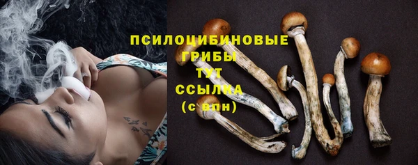 эйфоретик Аркадак