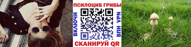 Купить где  Сосновка  Галлюциногенные грибы GOLDEN TEACHER 